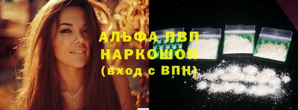 индика Лагань