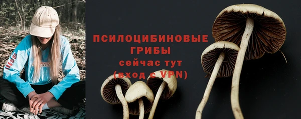 2c-b Вязьма