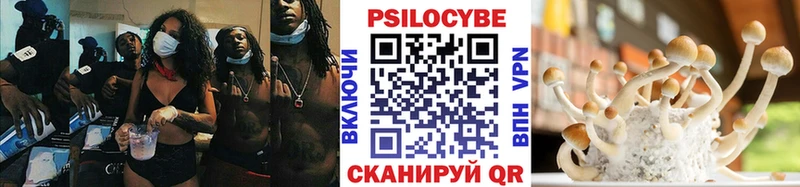 Галлюциногенные грибы мицелий  hydra tor  Новая Ляля  сколько стоит 